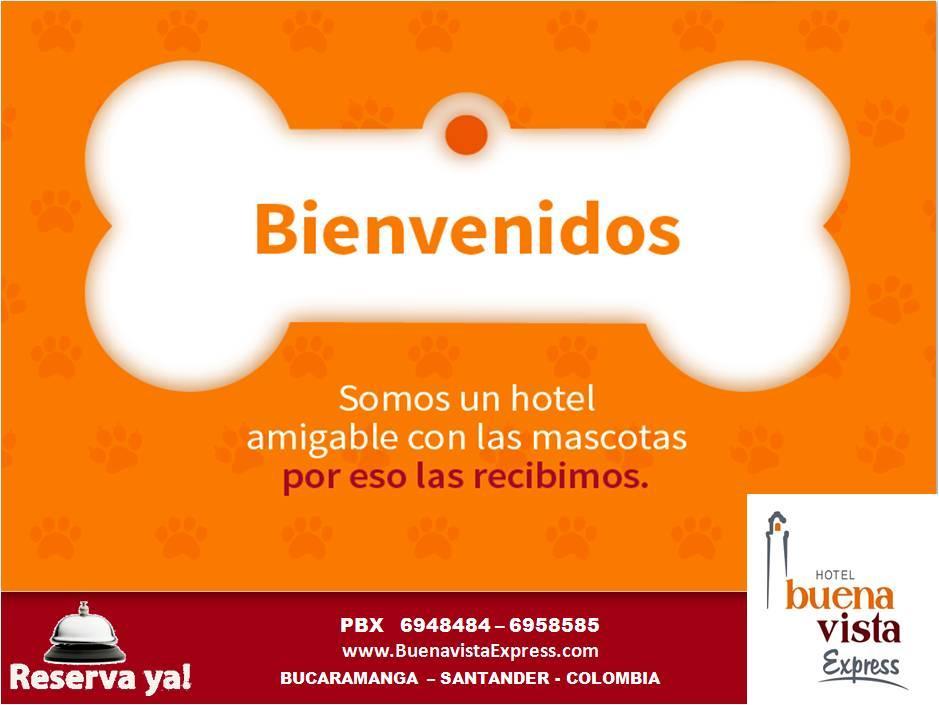 Hotel Buena Vista Express Bucaramanga Dış mekan fotoğraf